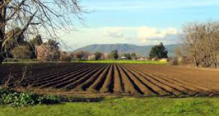 Министър Найденов призова земеделците да подкрепят изравняването на субсидиите в ЕС