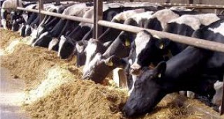 Експерти ще разясняват възможностите за преструктуриране на фермите в Белоградчик