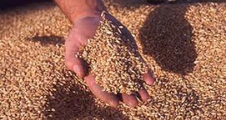 Има разминавания в размера на получените субсидии, според зърнопроизводител от Варненско