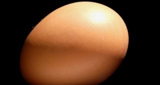 Британска верига магазини ще предлага готови твърдо сварени яйца