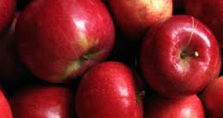 602 килограма от декар е средният добив от ябълки в Кюстендилска област