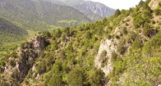 Европроект връща редки растения и дървета в 10 парка в страната