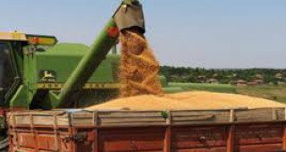 Земеделци от Великотърновско недоволни от държавната цена на зърното