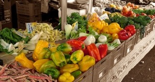 Две места за търговия със зеленчуци на открито определиха в Шабла