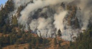264 пожара бушуват в страната