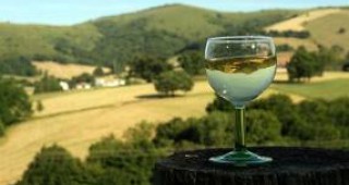 България подготвя искане до ЕК за признаване на гроздовата ракия като традиционна напитка