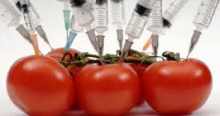 ЕС с нови насоки за оценка на ефектите от ГМО