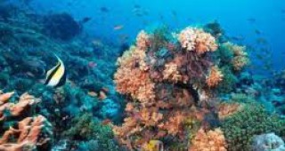 Правителството прие наредба за опазване на околната среда в морските води