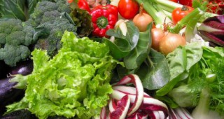 Национална кампания за здравословно хранене ще се проведе в Благоевград