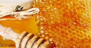 За първи път във Варна ще се проведе фестивал на пчелните продукти
