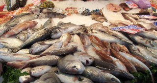 Да не се купуват риба и рибни продукти от нерегламентирани обекти