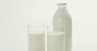 Пазара в сектор Мляко и млечни продукти стабилен, отчете Европейската комисия