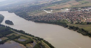 Засилването на трафика по Дунав е опасно за природата