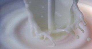 Започва да се изплаща целевата субсидия за произведено и продадено качествено мляко