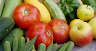 Масово не се издават документи на борсите за плодове и зеленчуци