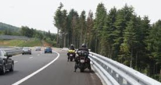 Русия ще строи магистрала през древна гора