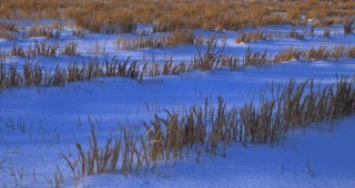 През декември очакваните валежите ще увеличават есенно-зимните влагозапаси в еднометровия почвен слой