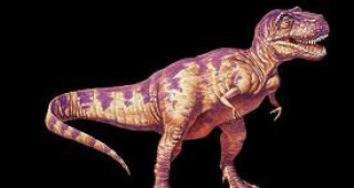 Британски учени смятат, че са открили нов вид плиозаври