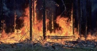Трети ден в Рила вилнее огромен горски пожар