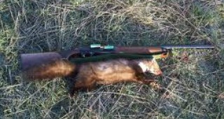 Забраняват лова в Бургаско за ограничаване разпространението на шап
