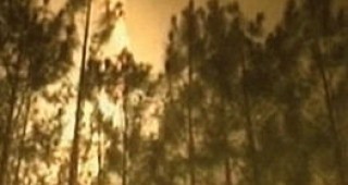 Пожари вилнеят в Северна Гърция