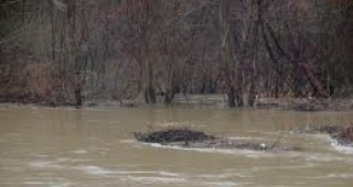 Бивше хвостохранилище замърси 2 реки в Смолянско