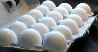 Диоксинът, открит в германски яйца в Холандия, е бил в допустими нива