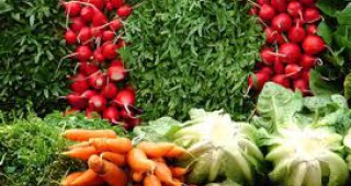 Необичайно ниски са цените на някои видове зеленчуците в Смолян