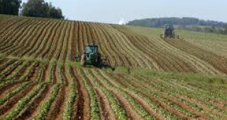 3735 са регистрираните земеделски производители в Добричка област
