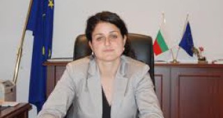 Зам.-министър Боянова: Следим внимателно количеството и качеството на пшеницата в страната