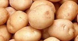 Инспектори откриха 17 000 кг картофи на пазара без етикети