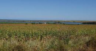 С 20 000 декара са намалели обработваемите земеделски земи в Смолянско