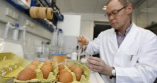 Правителството на Германия утвърди план за засилване на контрола при производство на хранителни продукти