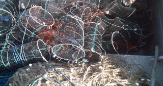 Иззети са 300 метра бракониерски мрежи за улов на калкан