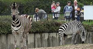 МОСВ готви план за контрол на зоопарковете