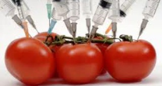 ГМО храните са ключа към човешкото оцеляване, според британски учен