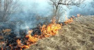 По-малко пожари в земеделски ниви през 2010 г. в Добричка област