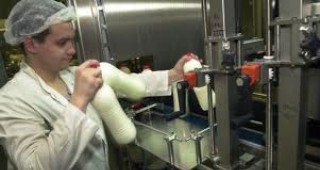 Липсват мерки за фермите, които трябва да достигнат евростандартите за млякото до края на 2011 г.