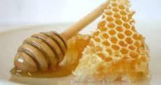 Плевен отново става столица на пчеларството