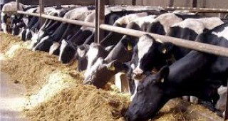 ДФ Земеделие ще изплати още 1, 6 млн. лв. на животновъди