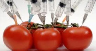 САЩ искат Европа да отвори пазарите си за храни с ГМО