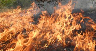 60 души участват в гасенето на пожар в горски район над Клисура