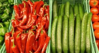 Пламен Димитров: Има нерегламентиран внос на зеленчуци
