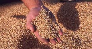 Зърнопроизводители искат да има ограничения при очертаването на земеделски площи за евросубсидии