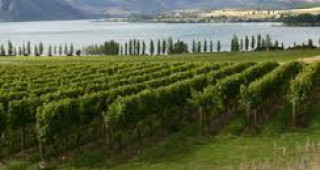 22 млн. евро има по Програмата за развитие на лозаро-винарския сектор за 2011 г.