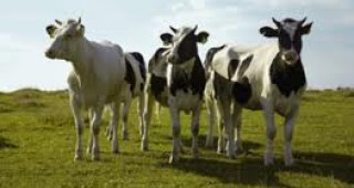 Кризисният щаб за животновъдството ще се проведе в Пловдив
