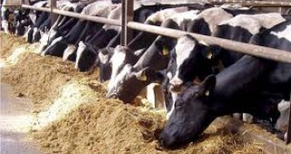 Главоломен спад в българското животновъдство
