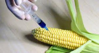 Кипър въвежда строга регулация на ГМО храните