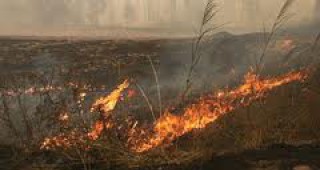 Денонощни дежурства за опазване на реколтата от пожари в Добрич