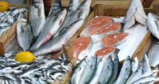 Варна ще има втора рибна борса